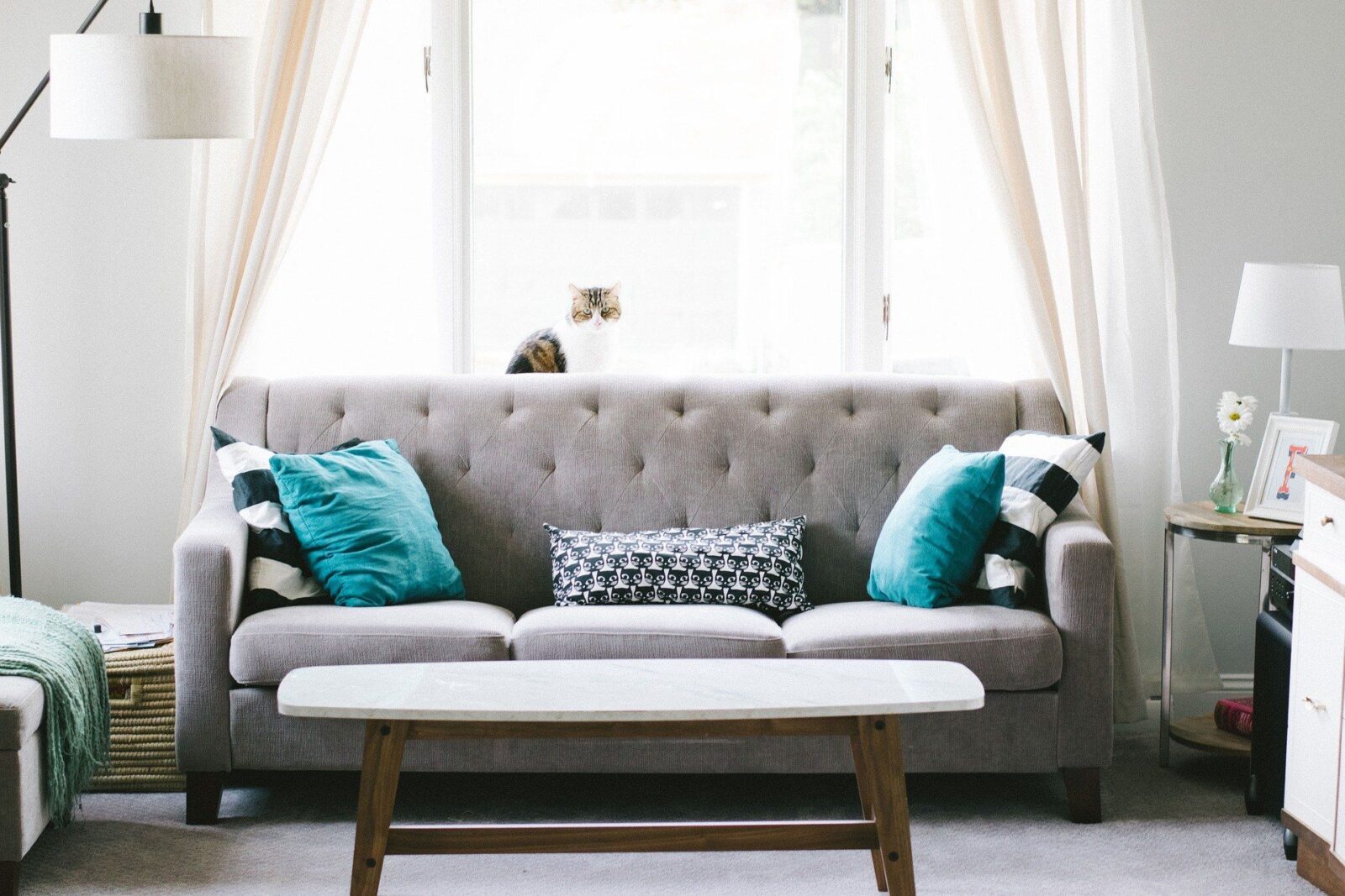 House Homewares Bendigo