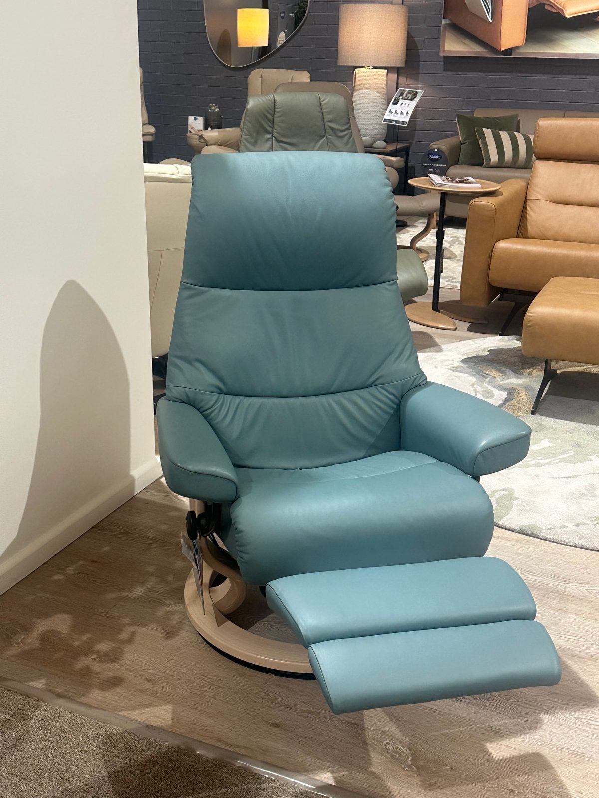 View (Medium) Power Recliner